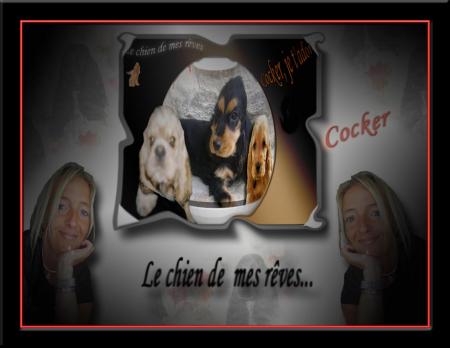 le chien de mes rêves...
